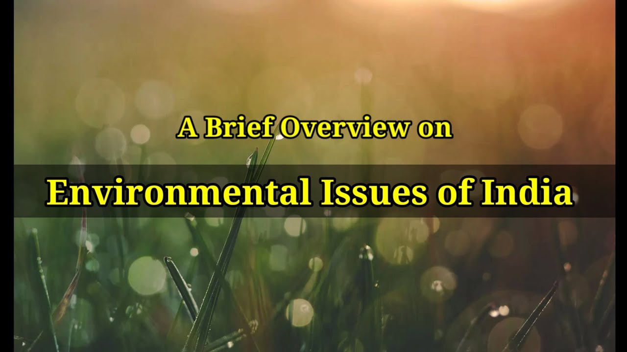 A Brief Overview on Environmental Issues of India
