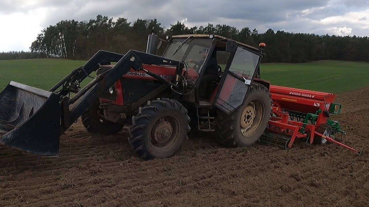 Mokre Siewy Pszenżyta. Orka Oraz przegląd Żyta Sianego Po Talerzowe oraz Jęczmienia Po Orce 