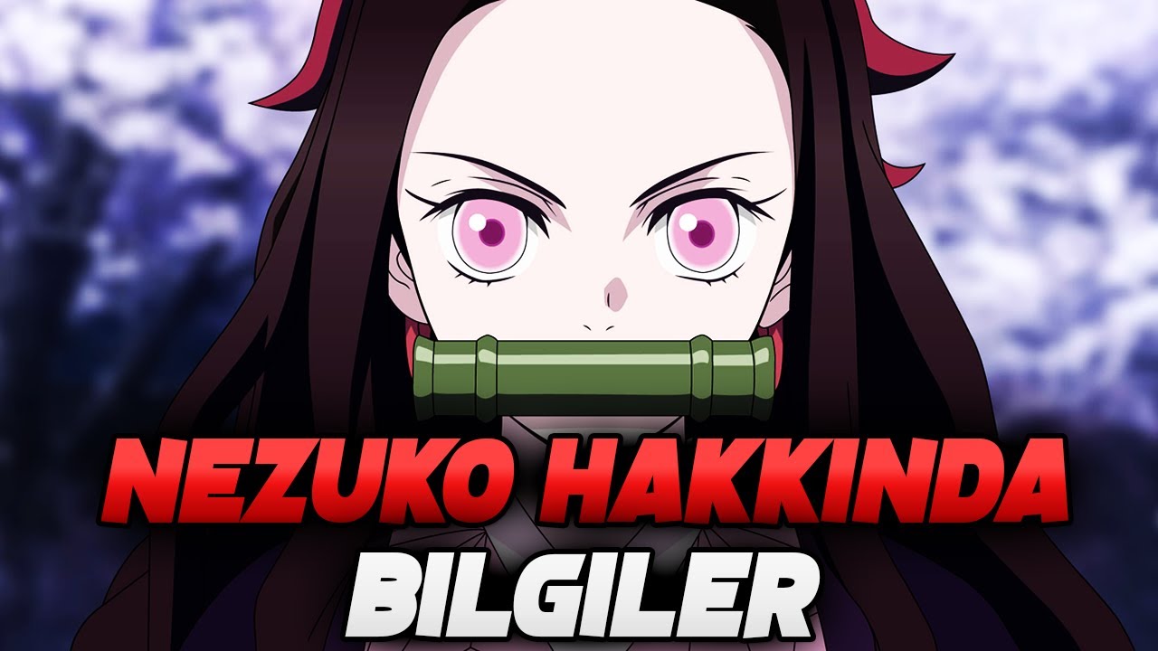 NEZUKO HAKKINDA BİLİNENLER