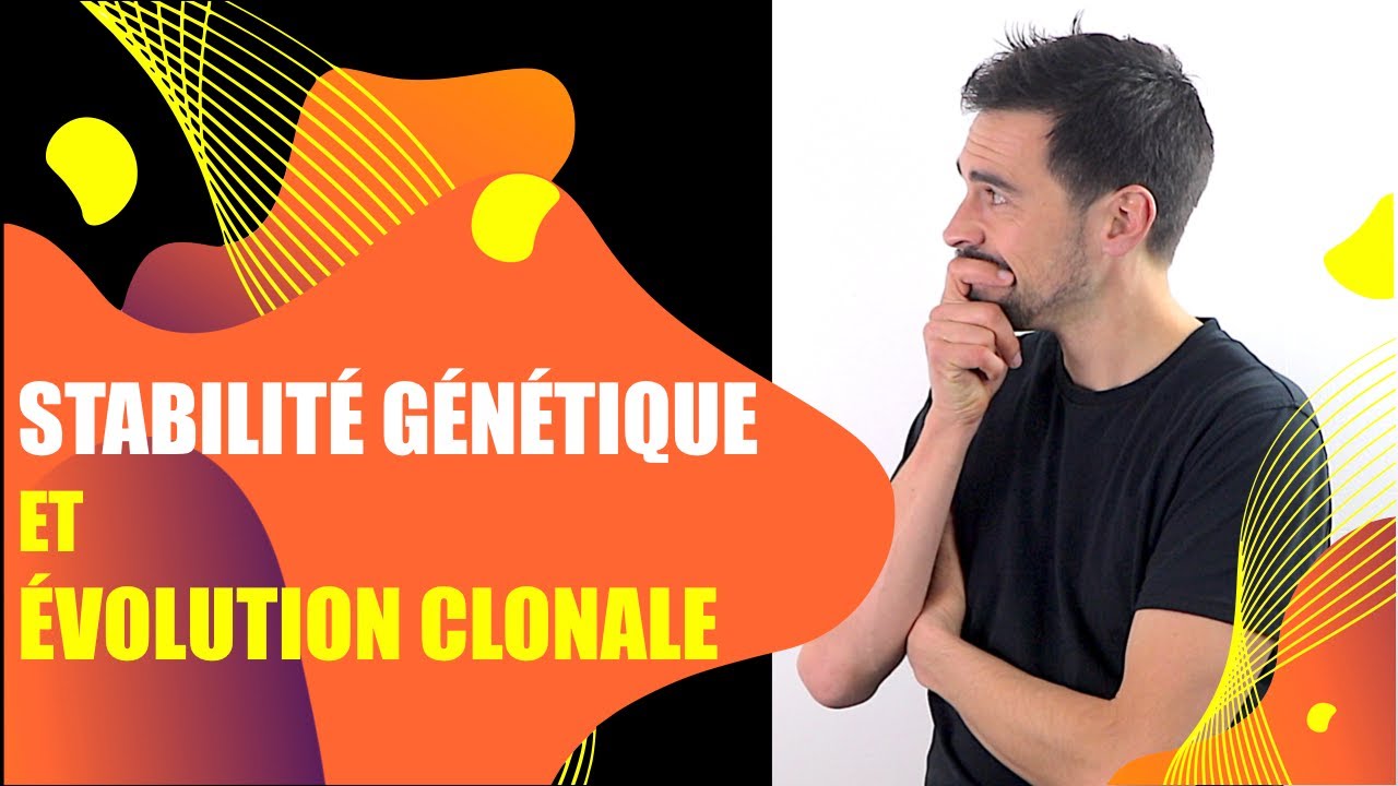 COURS DE TERMINALE SPÉCIALITÉ SVT : CHAP.1: STABILITÉ GÉNÉTIQUE ET ÉVOLUTION CLONALE - Bio Logique