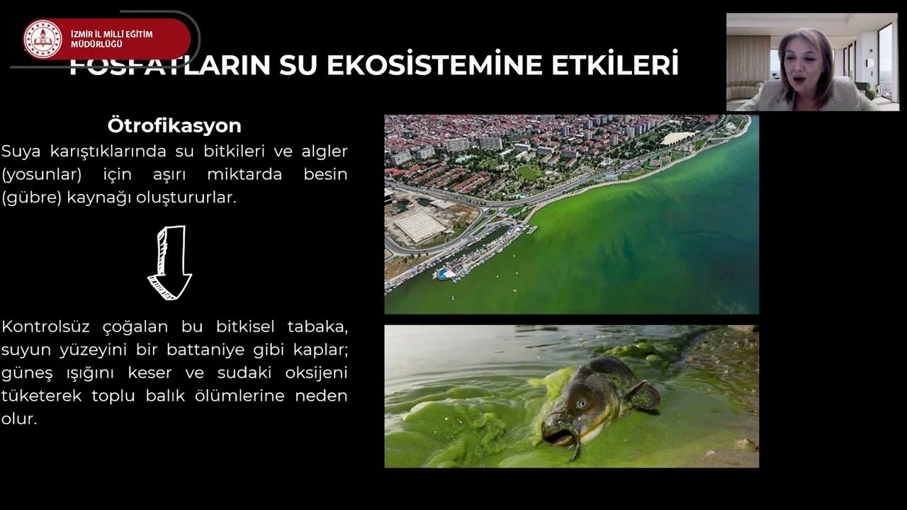 Temizliğin Ekolojik Boyutu: Evsel Temizlik Ürünlerinin Su Ekosistemlerine Etkisi