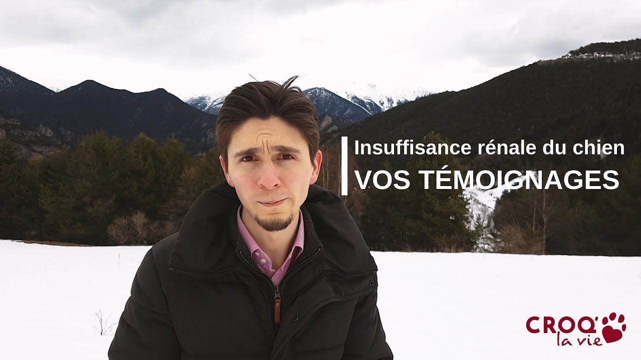 TÉMOIGNAGES : Insuffisance rénale du chien et croquettes