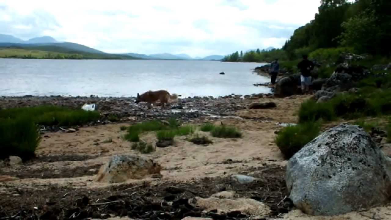 Fishing Trip To Rannoch HD