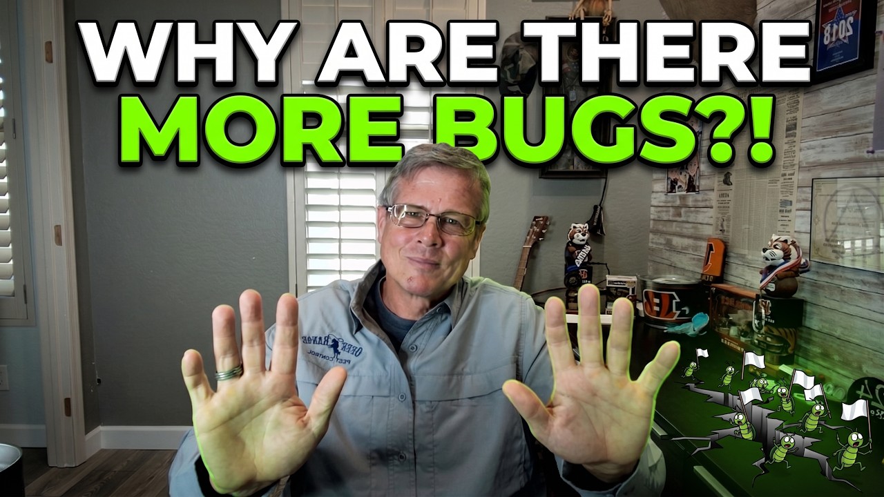 Did My Pest Control Make the Bugs WORSE?