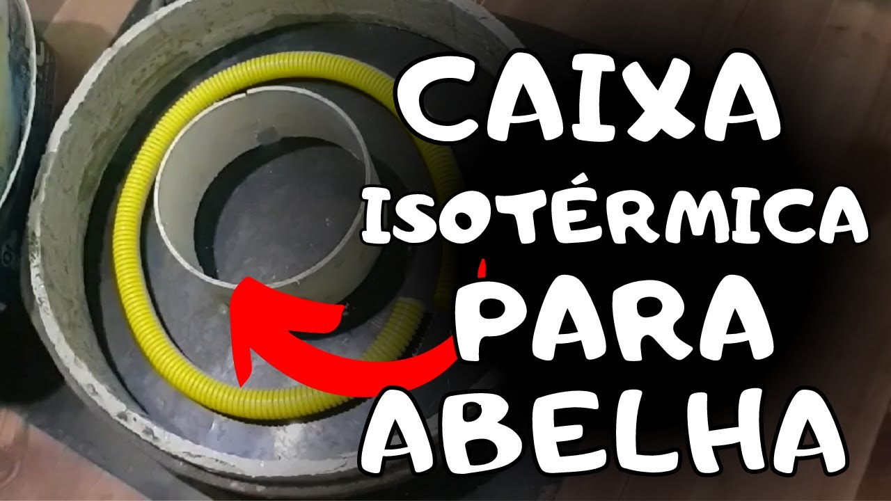 Caixa Para Abelhas Sem Ferrão: Material Leve + Fácil de Construir