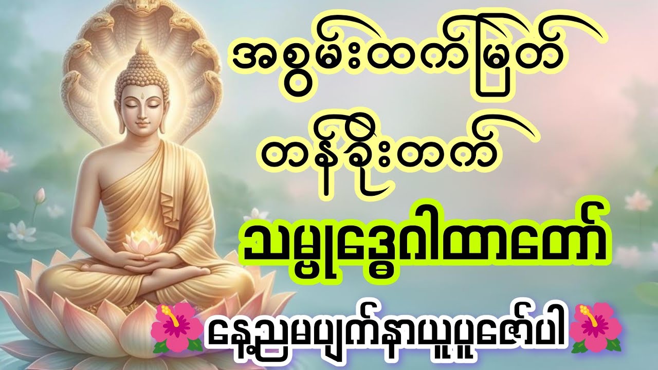 🌺 အခက်အခဲအကြပ်အတည်း များကို လျှင်မြန်စွာကျော်ဖြတ်နိုင်သော အစွမ်းထက် သမ္ဗုဒ္ဓေဂါထာတော် 🌺