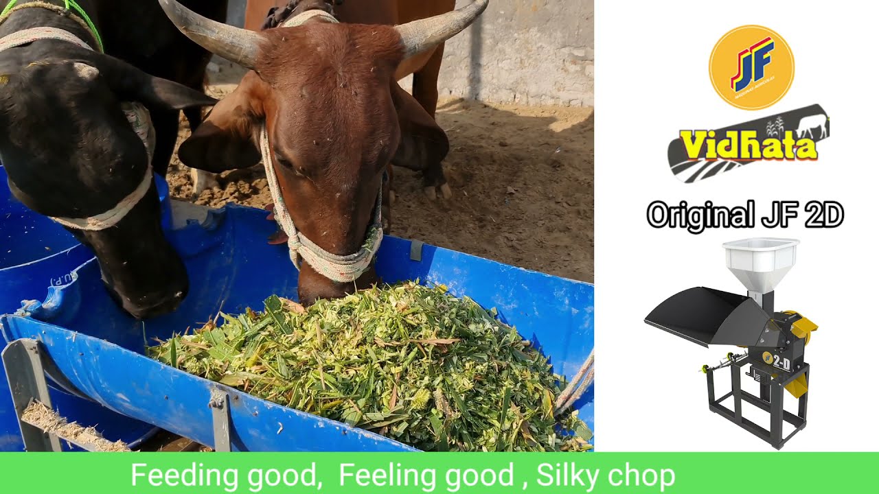 Powerfull Mini chopper and mill grinder JF 2D call 9068818252