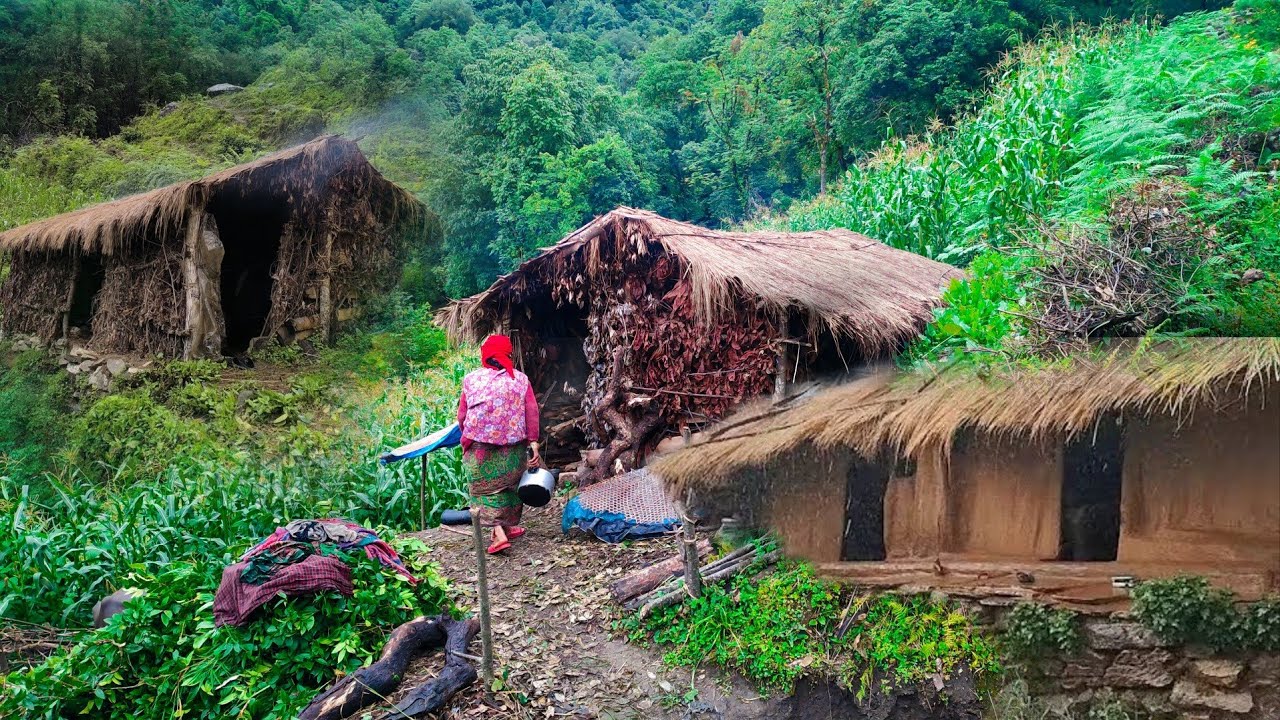 Nepali Mountain village life into the Rainy Season || Daily Activities of Rural village in Nepal🇳🇵