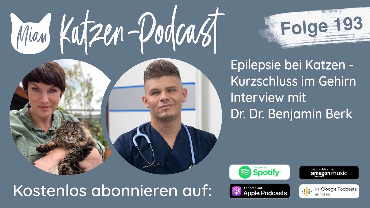 #193 Epilepsie bei Katzen - Kurzschluss im Gehirn | Miau Katzen-Podcast