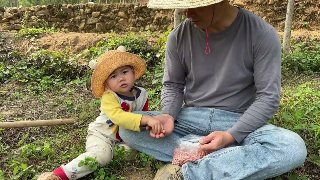 不得了呀，又种了半亩花生，好吧，希望今年实现花生自由【一帆妈妈】