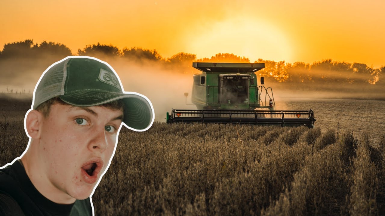 We Finished Soybean Harvest 2020..