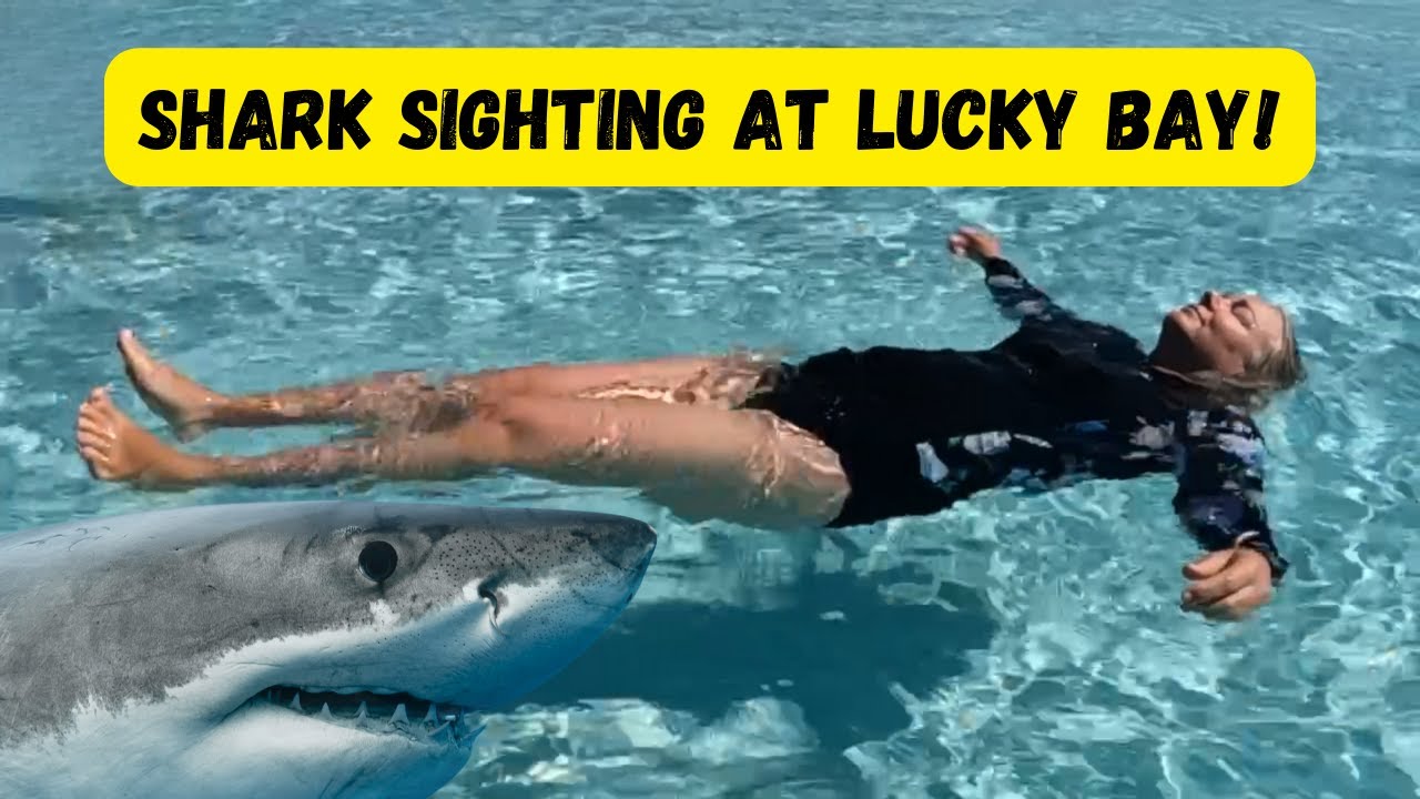 Sharks, Squid, Snakes and Spectacular Beaches - Esperance & Lucky Bay | Our WA Trip - Part 6