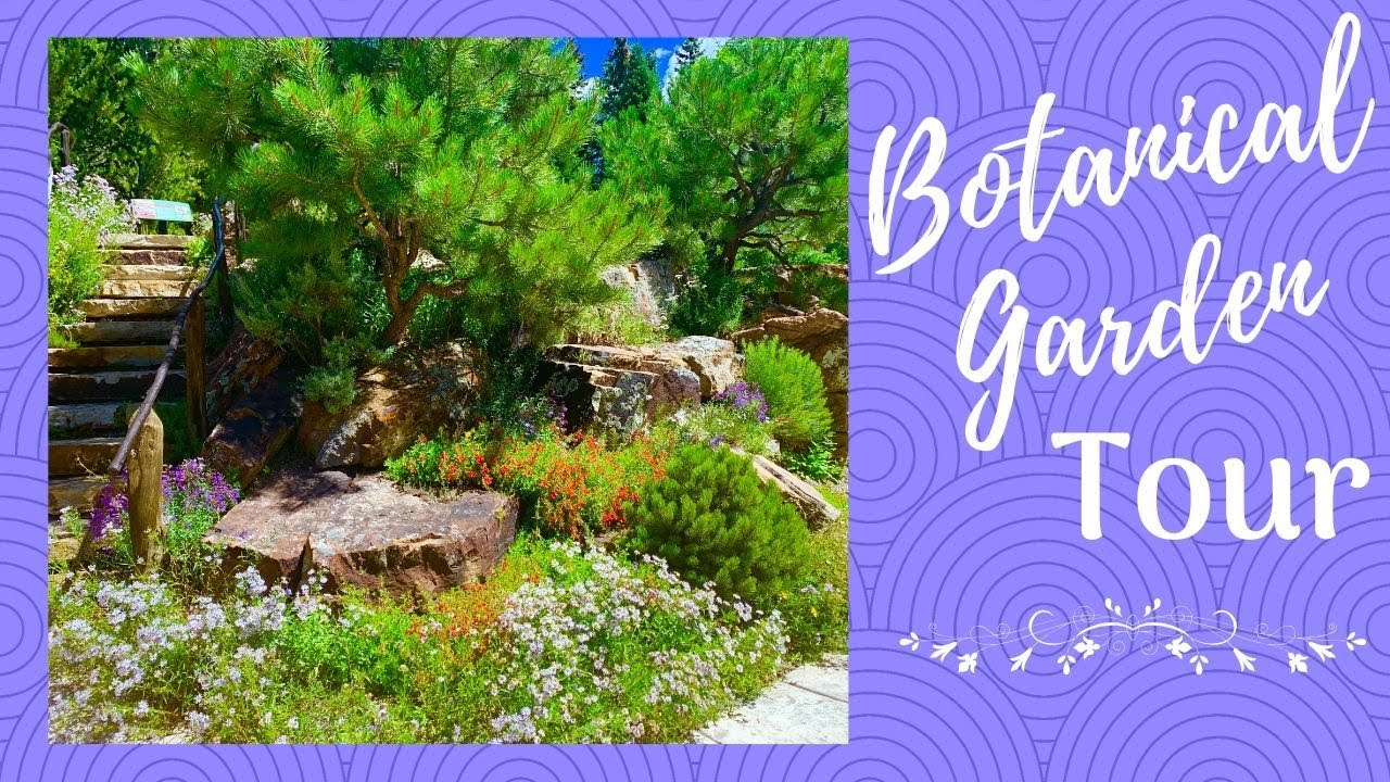 Betty Ford Alpine Gardens Tour 2020 🌲🌼