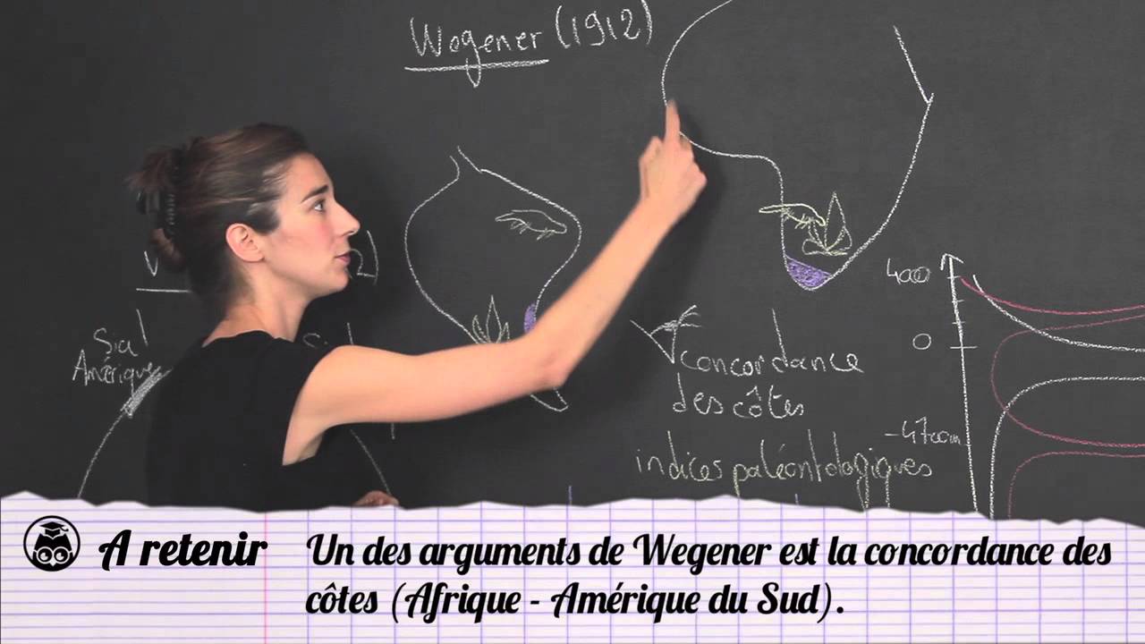 Wegener et la dérive des continents - SVT - 1ère - Les Bons Profs