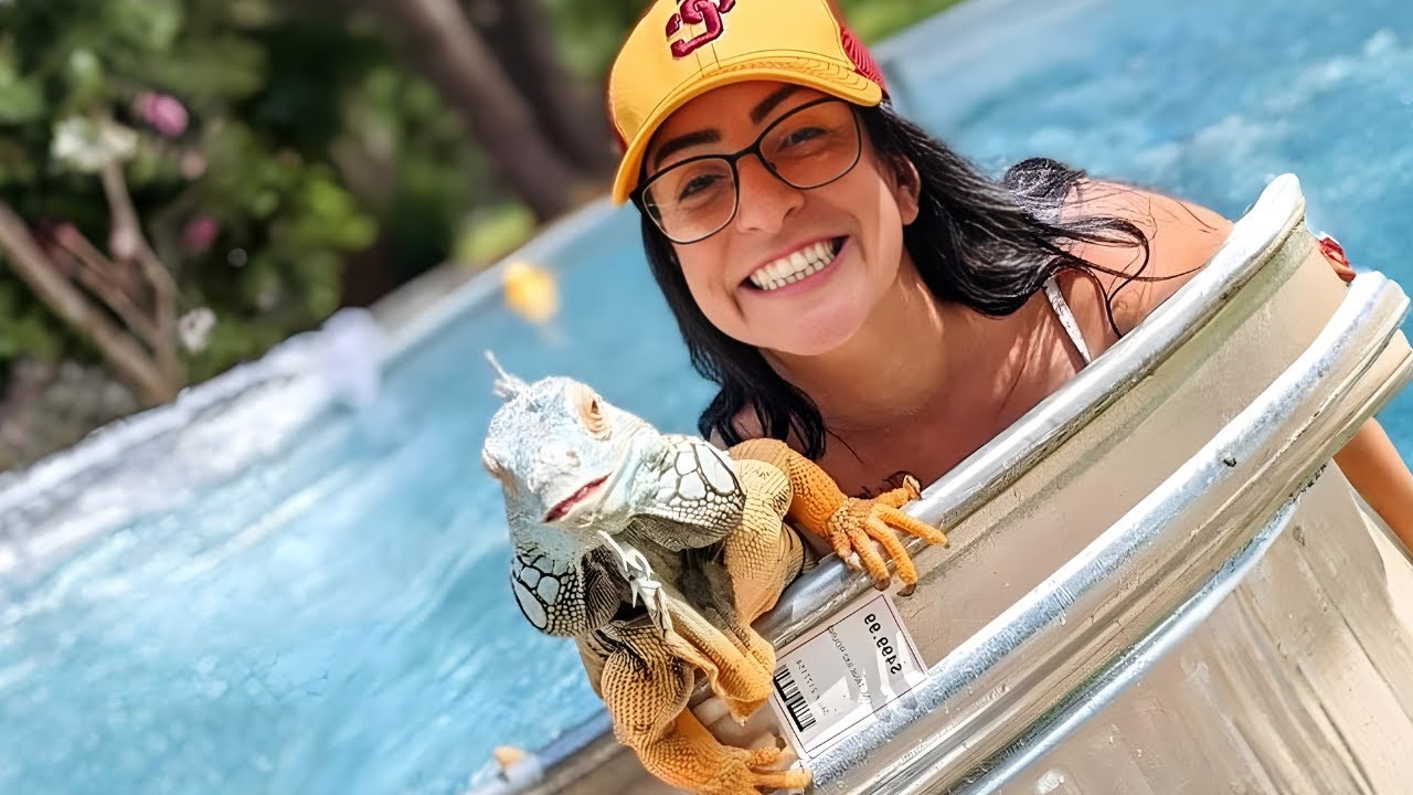 This Clingy Iguana Follows Her Humans Everywhere Just to Steal Kisses