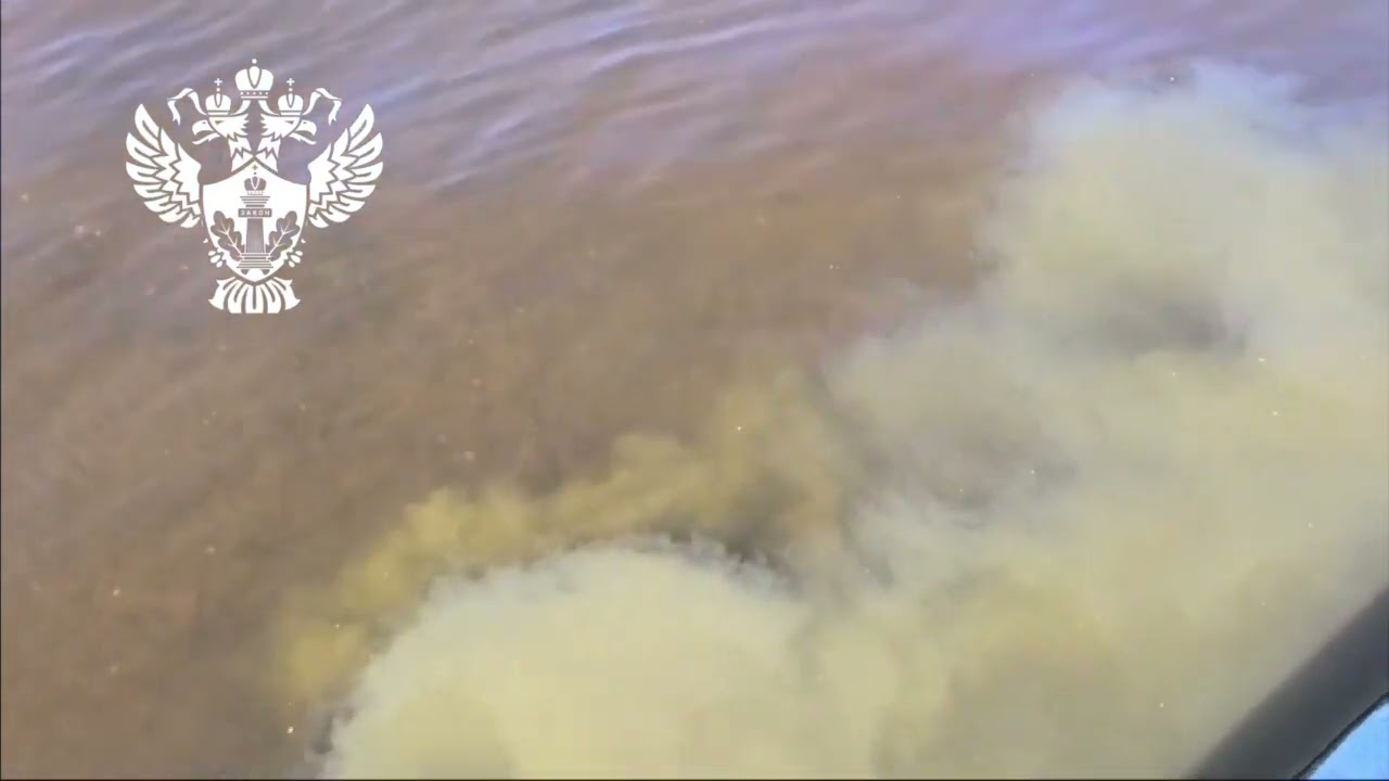 Видео: СЗМУ Росприроднадзора