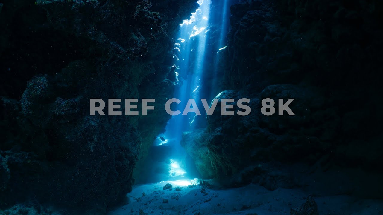 Dappling Light & Deep Sea Caves 8K RED Raptor Showreel | Great Barrier Reef Stock Footage