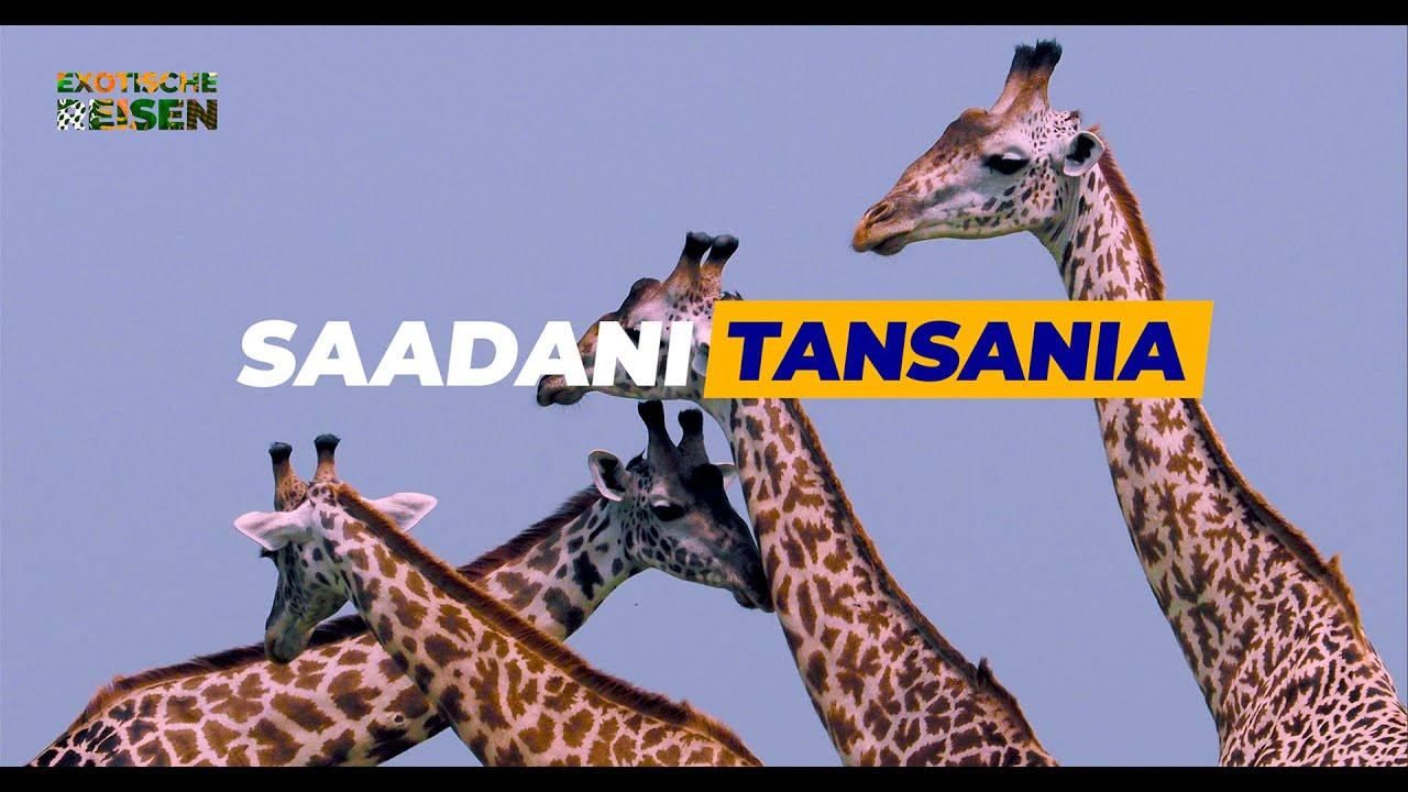 Tanzania trip - Saadani National Park, little known, beautiful