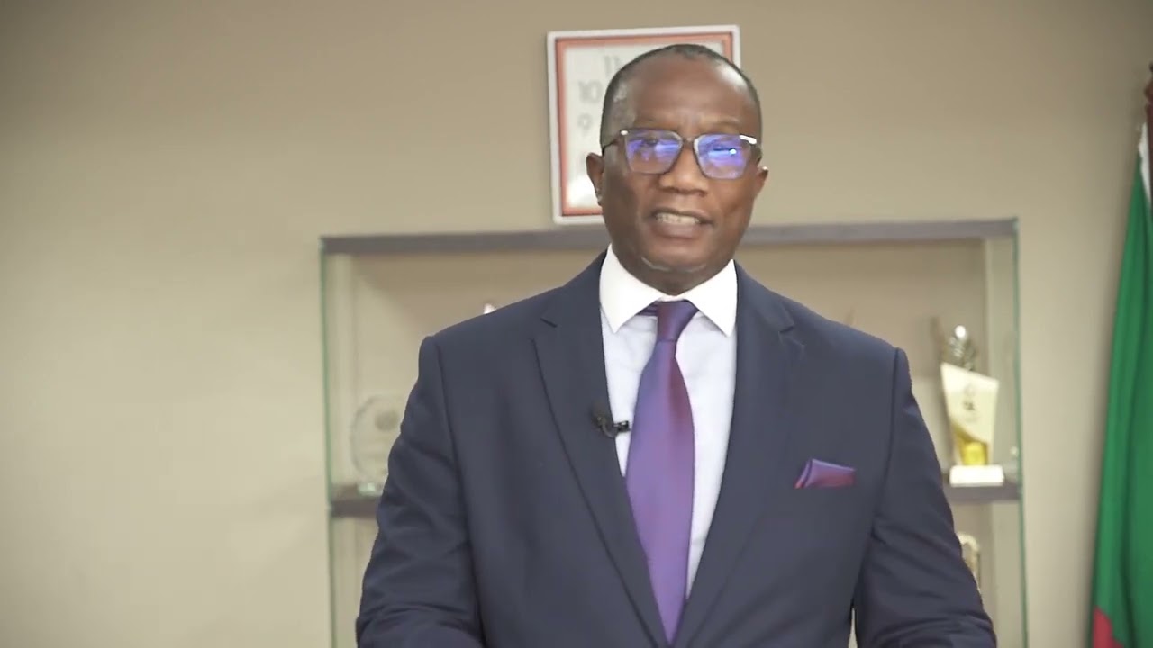 NAPSA DG Calls for Proposals in Mineral Value Addition