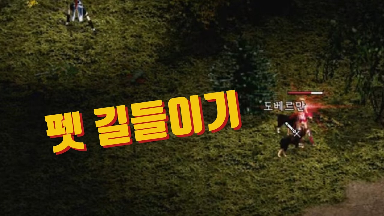 도베르만 펫 길들이기, '키보드 던질 뻔' (실패 끝에 성공!) 🔵 마법인형 리니지 클래식