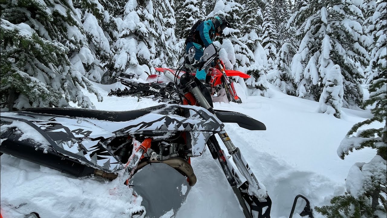 AVALANCHES, BOOTERS, & TURBOS smashing TREES