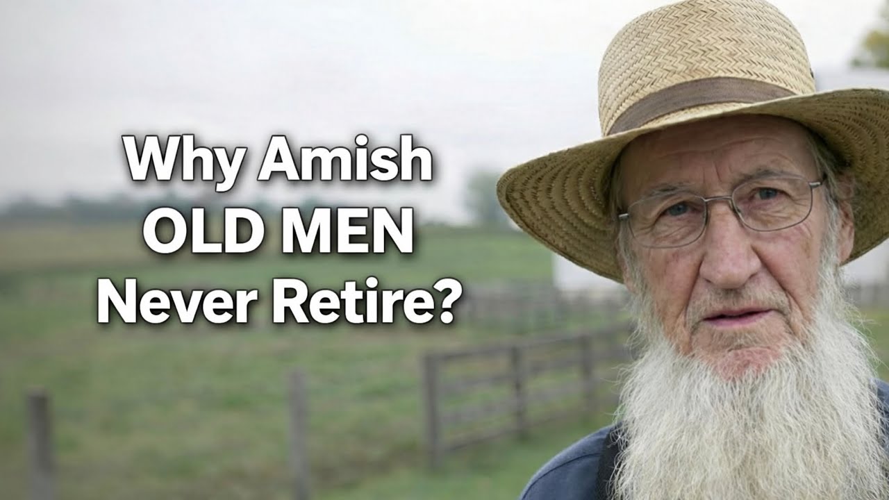 Why Amish Old Men Never Retire?
