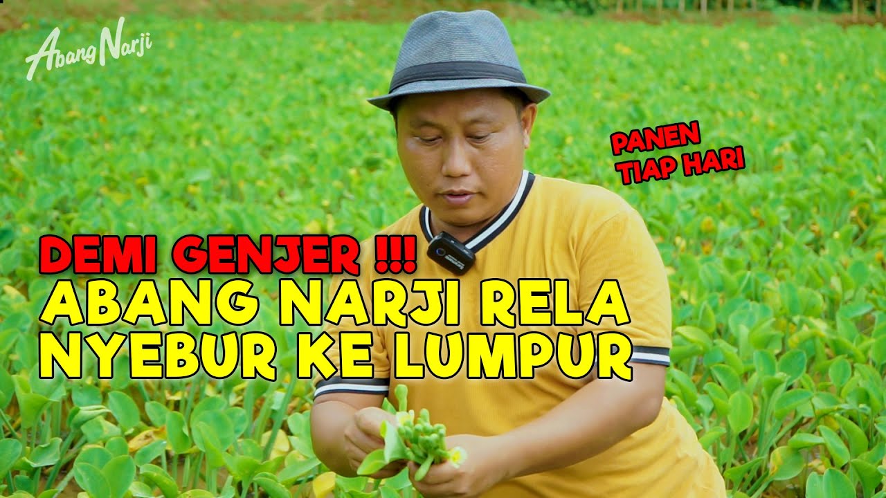 DEMI GENJER !!! ABANG NARJI RELA NYEBUR KE LUMPUR - JURAGAN LAHAN