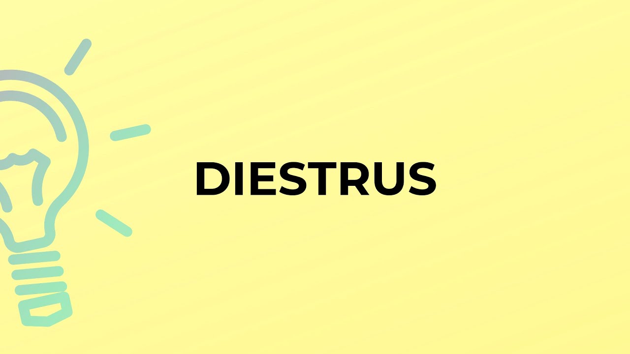 What is the meaning of the word DIESTRUS?