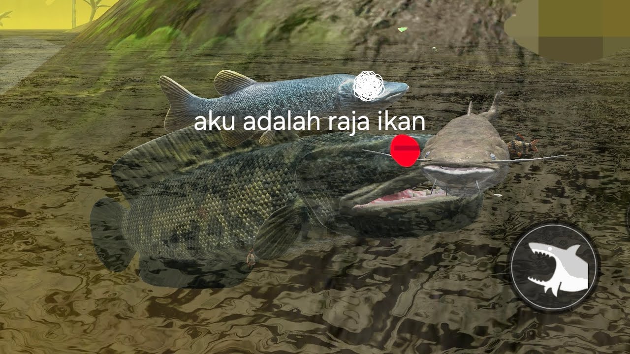 Aku telah jadi ikan sakti dari 0% sampai 100%