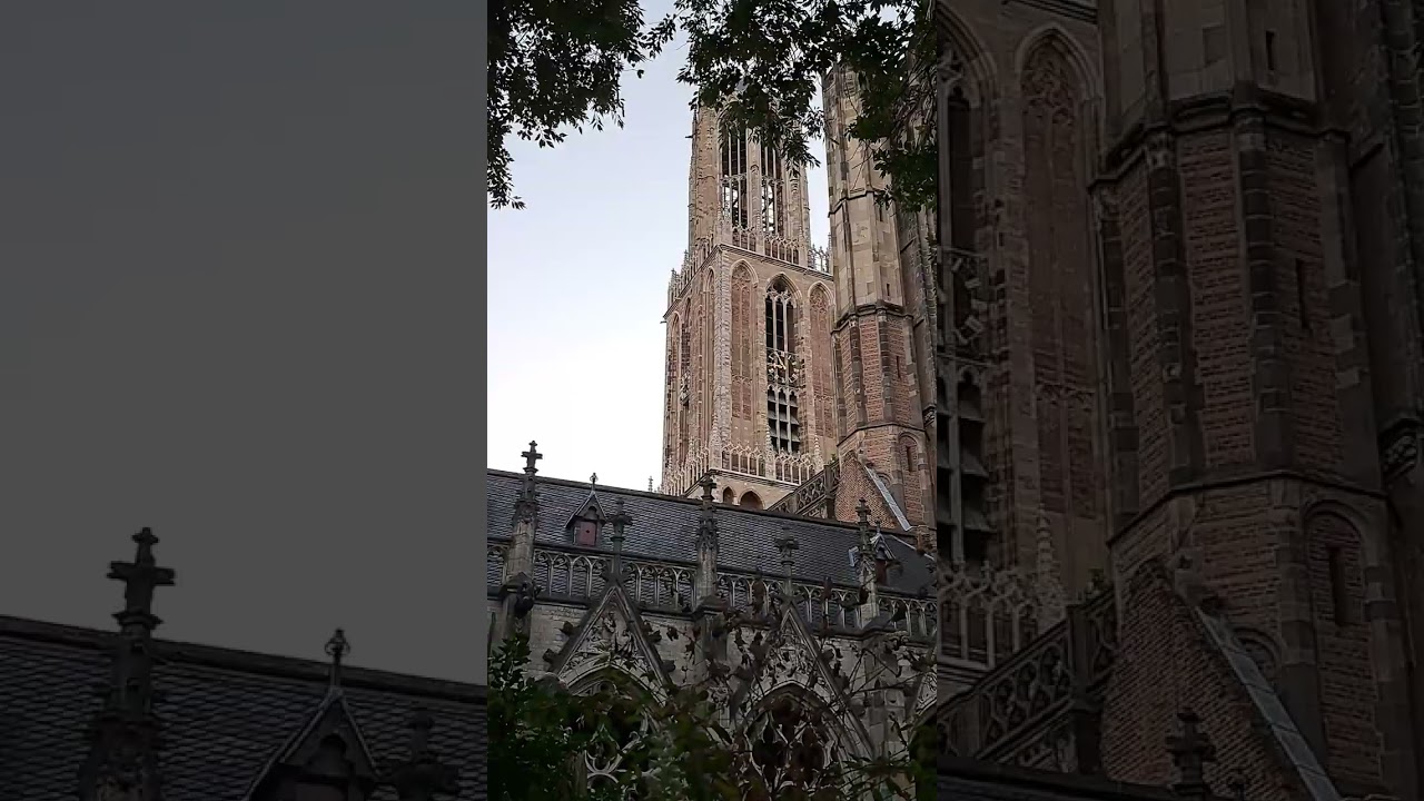 Starry starry night domtoren carillon utrecht 2025