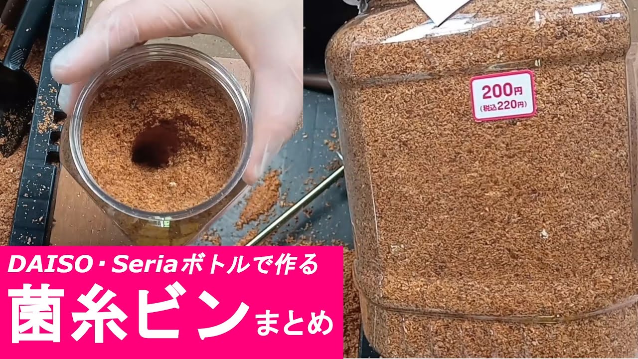 【100均ボトル】クワガタ飼育に便利なDAISO(ダイソー)・Seria(セリア)ボトルで作る菌糸ビン まとめ(作り方・道具・使用方法)