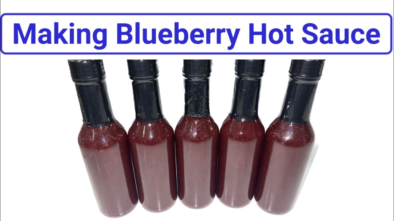 Blueberry Ghost Pepper Hot Sauce | Making hot sauce using dried ghost peppers and fresh blue berries