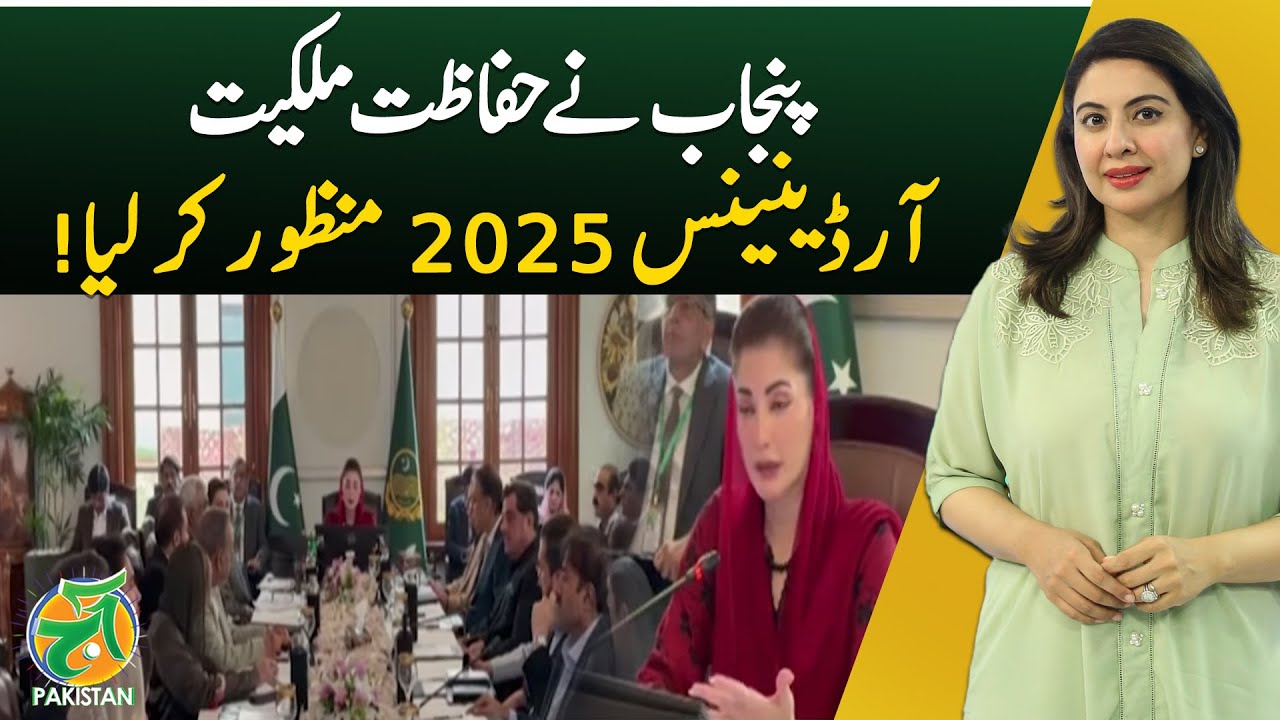 Punjab passes Property Protection Ordinance 2025 | Property Rights | Punjab Law - Aaj Pakistan