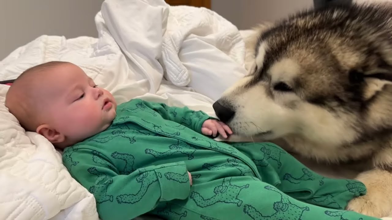 Our Morning Routine With Children And Dogs! The New Lazy Weekends!!