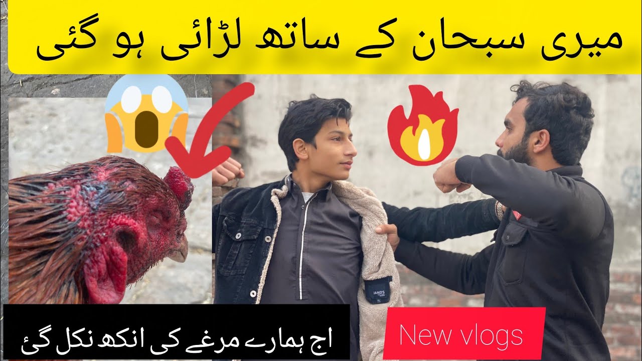 اج میری سبحان کے ساتھ لڑائی ہو گئی اور ہمارے مرغے کی انکھ نکل گئی 