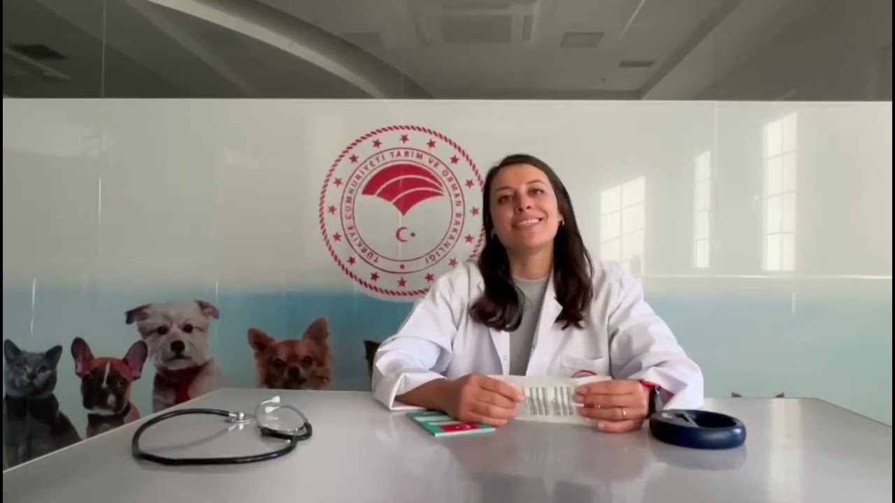 KEDİ,KÖPEK VE GELİNCİKLERDE MİKROÇİP UYGULAMASI