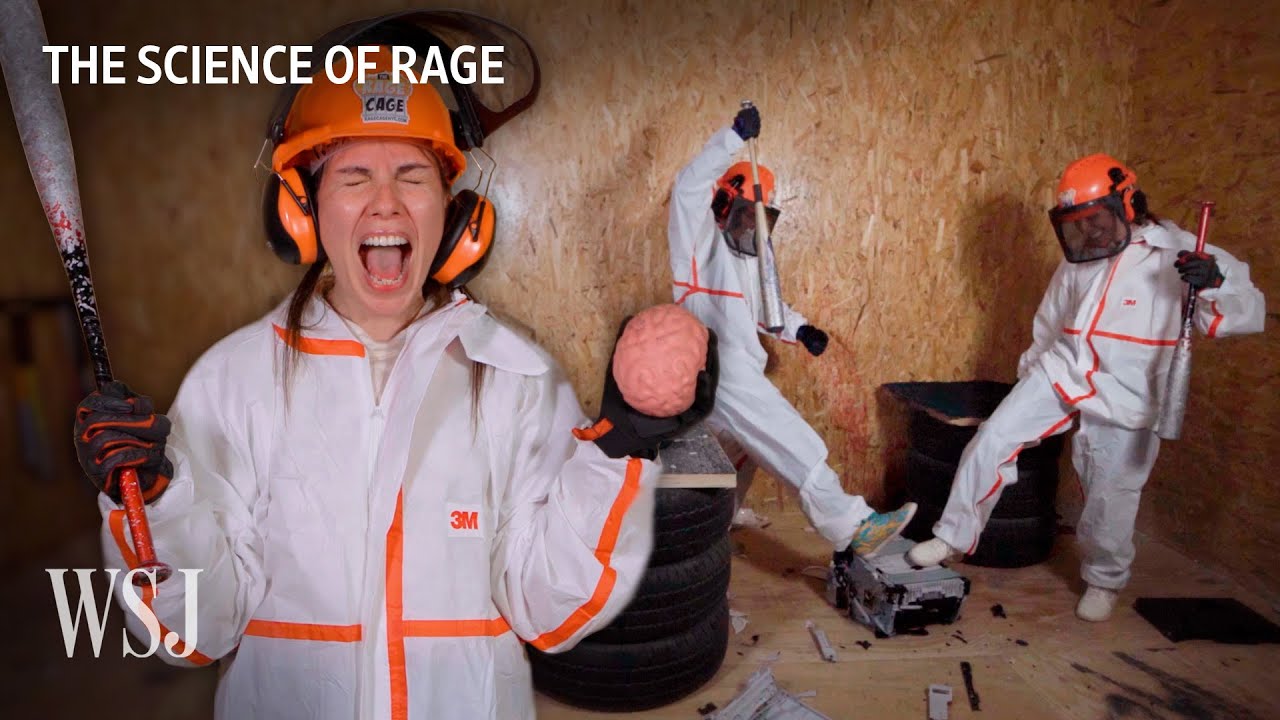 Rage Brain: Why Acts of Aggression Can Feel So Good