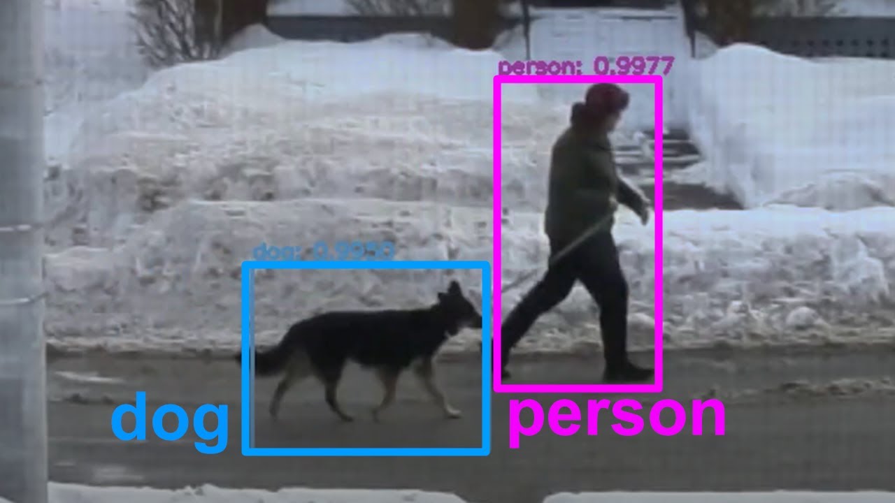 I Built A Dog Detecting Machine