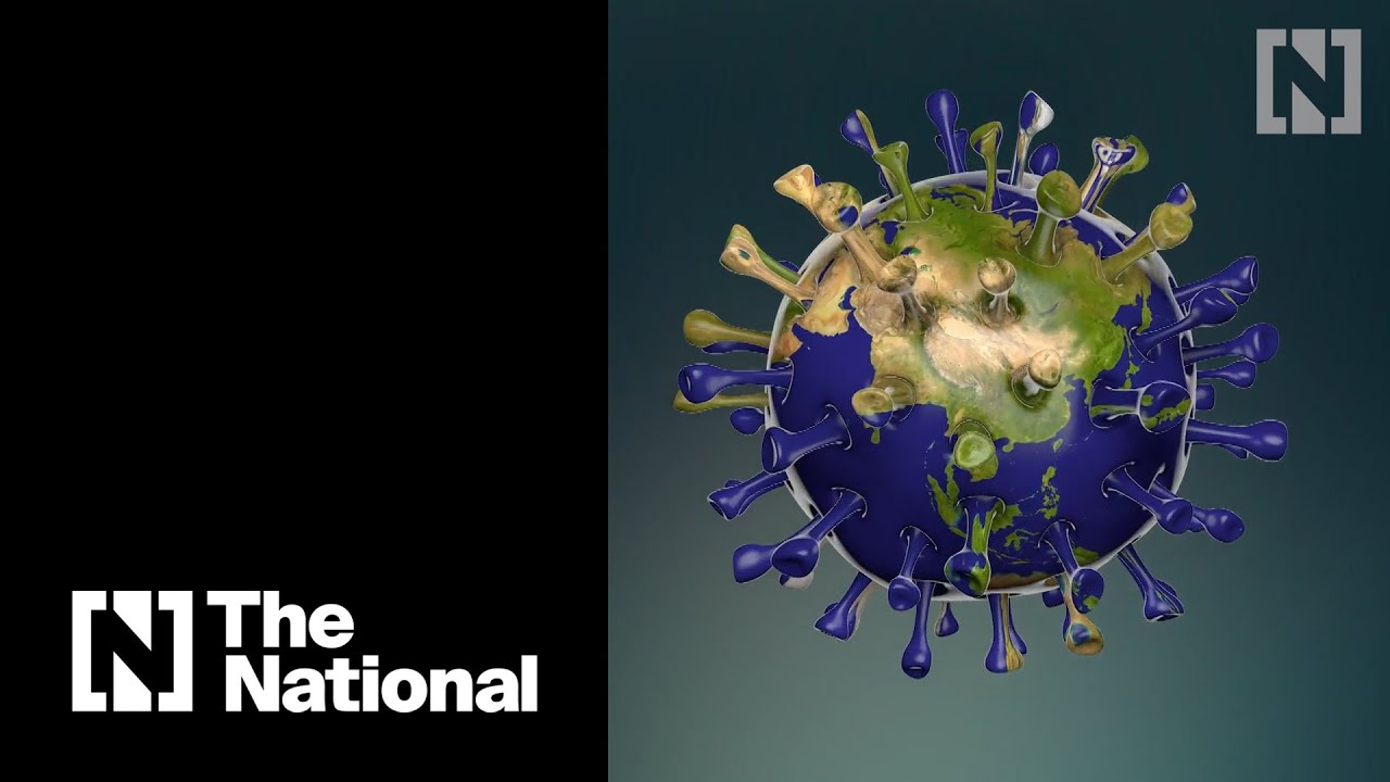 What is the coronavirus and how concerned should we be?
