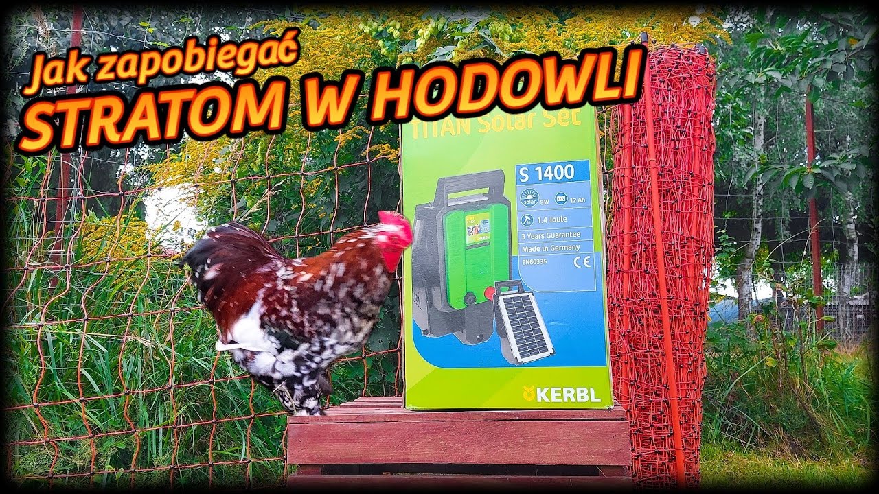 #CanAgri;#SiatkaElektryczna Straty w hodowli 🐓🦃🦆Ochrona drobiu