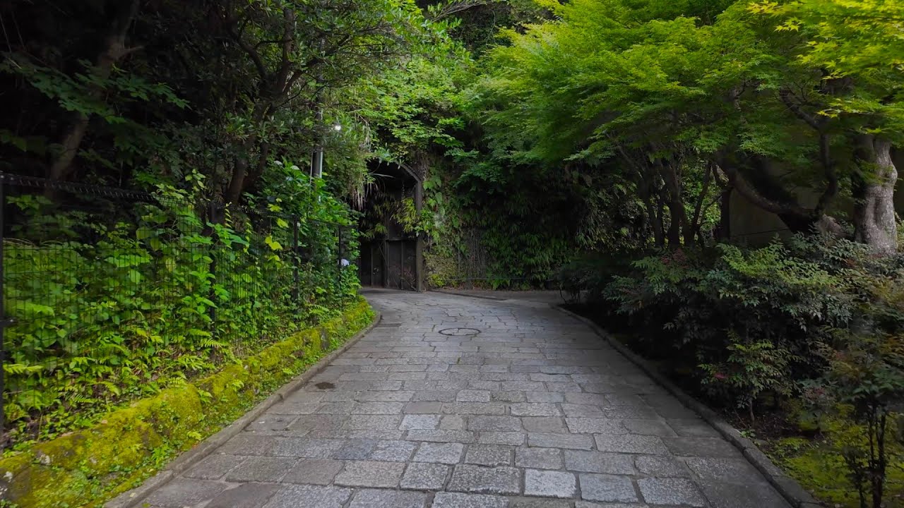 Visiting shrines in beautiful villages. Early morning stroll through Kamakura【4K Japan】