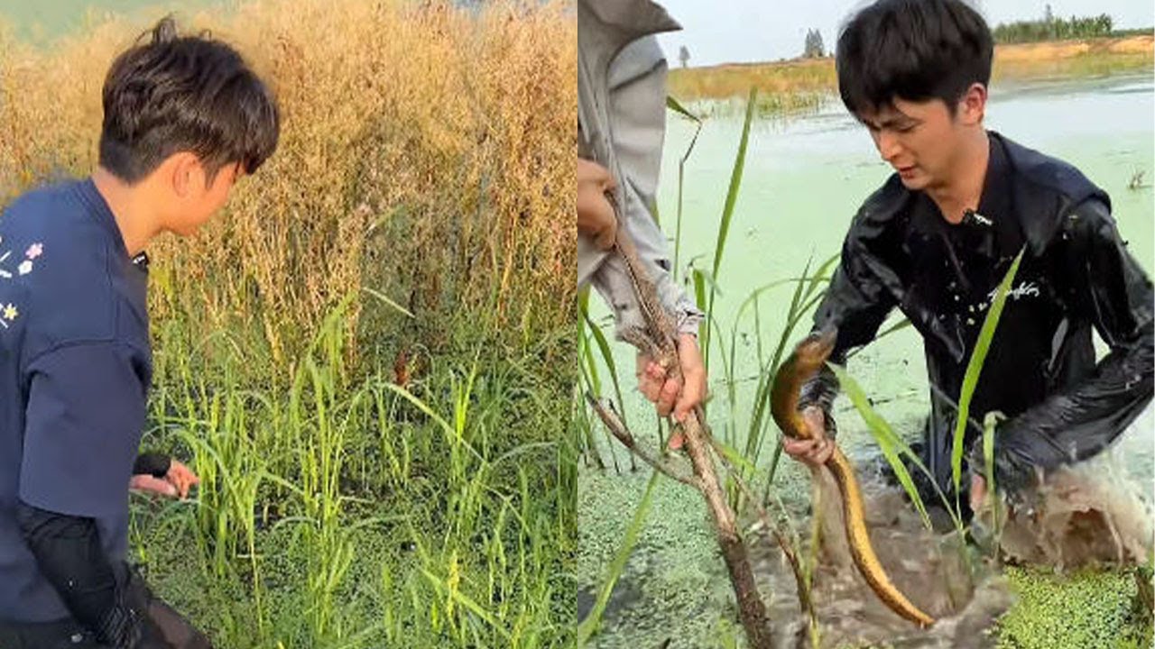 來了哇，大花鳝壹條哇#搞笑 #搞笑视频 #农村生活 #fishing #outdoors