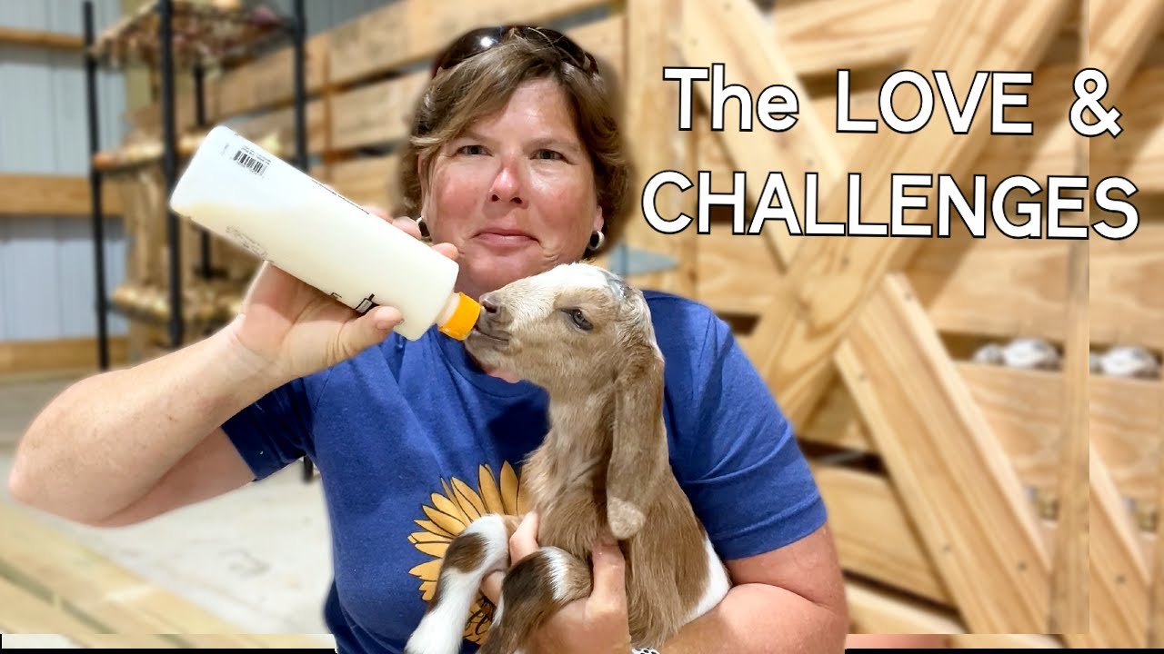 Why I Became a Mother to Baby Goats
