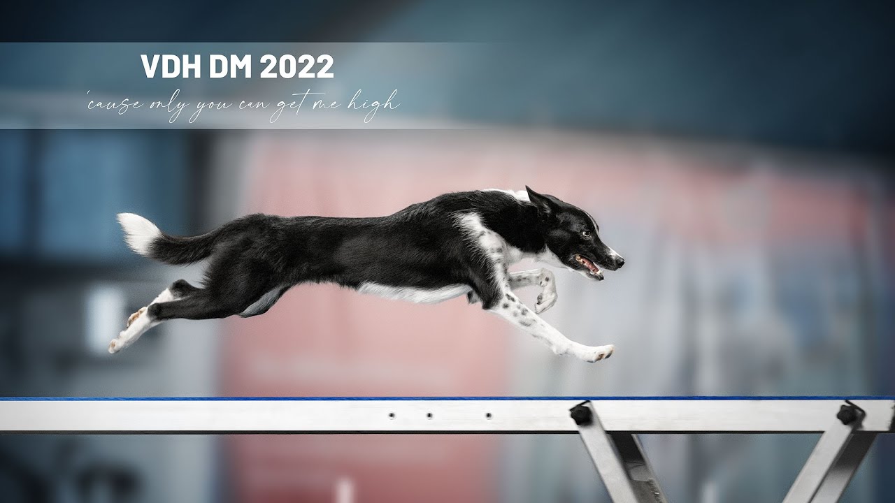 VDH DM 2022