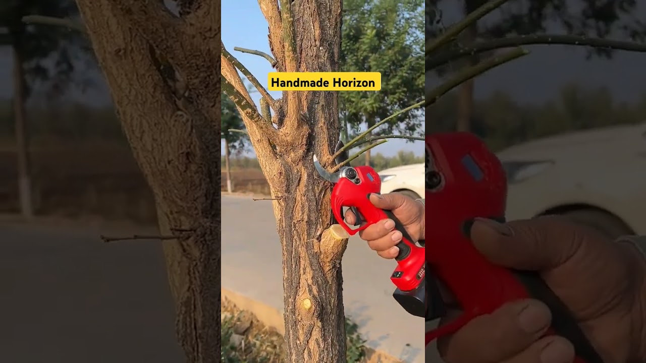 Tree Branches Cutting Process- Goodtools and machinery make work easy