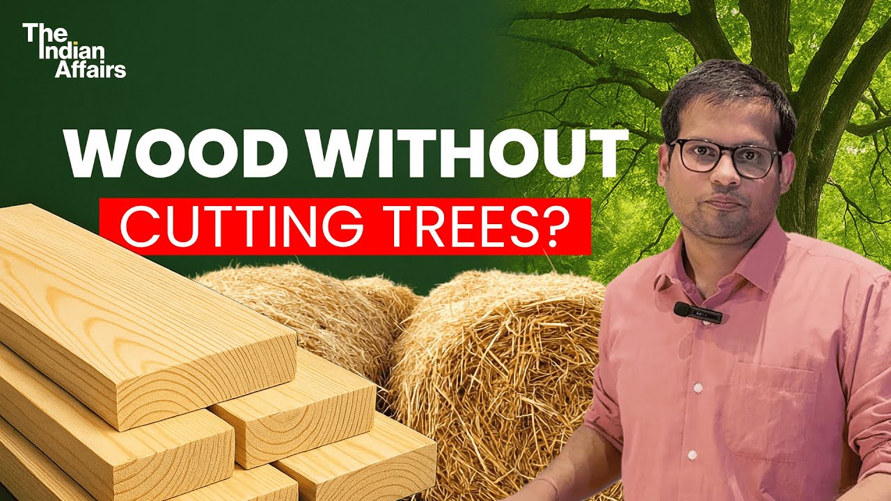 What is Indowud? | Eco-Friendly Wood Alternative | Products, Concept, Challenges| The Indian Affairs