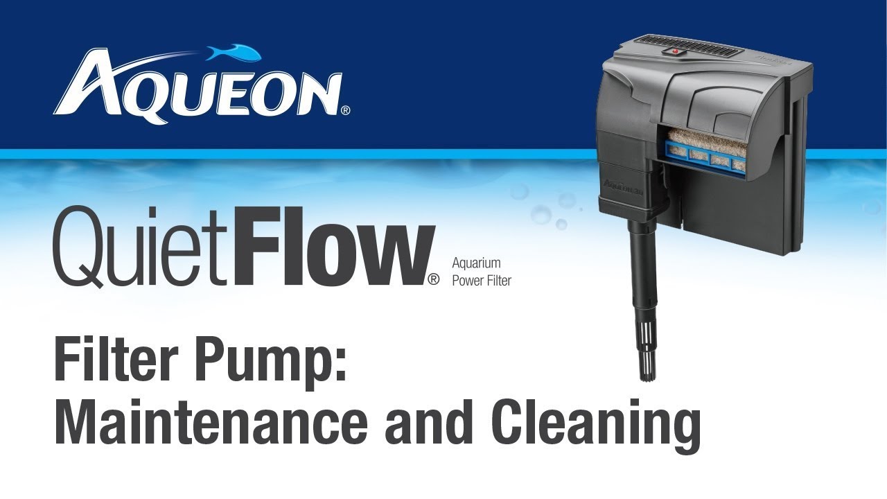 Aqueon quiet flow maintenance and recharging purigen.