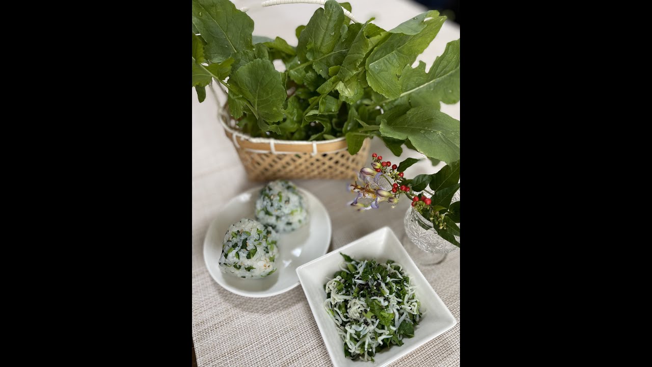 【野菜の一生】ガーデニング野菜～大根編～種まき・収穫・料理・採種まで一気に体験