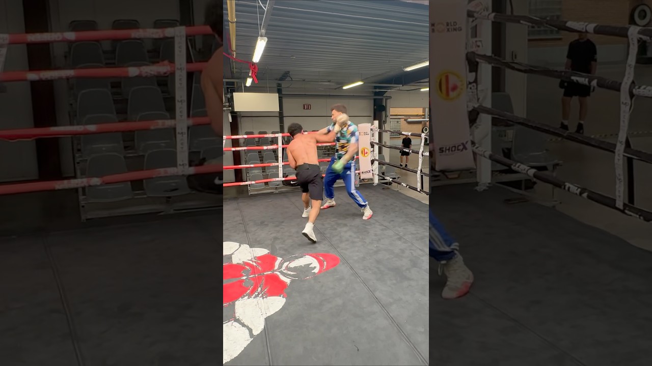 World Sparring Tour has started 🔥💯