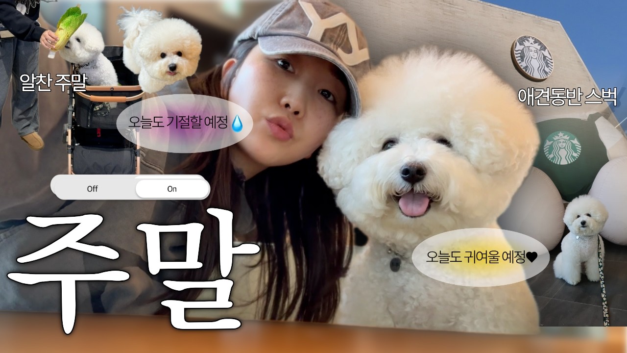 Vlog 애견동반 스타벅스와 하남에서 보낸 하루, 주말 기록